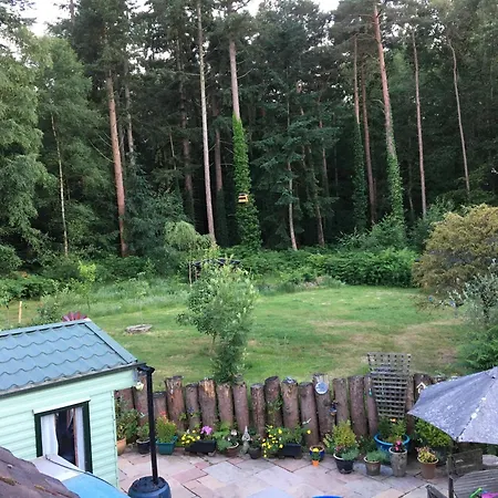 Villa Secluded Woodland Hideaway - 2 Bed With Private Parking Emsworth Exterior foto