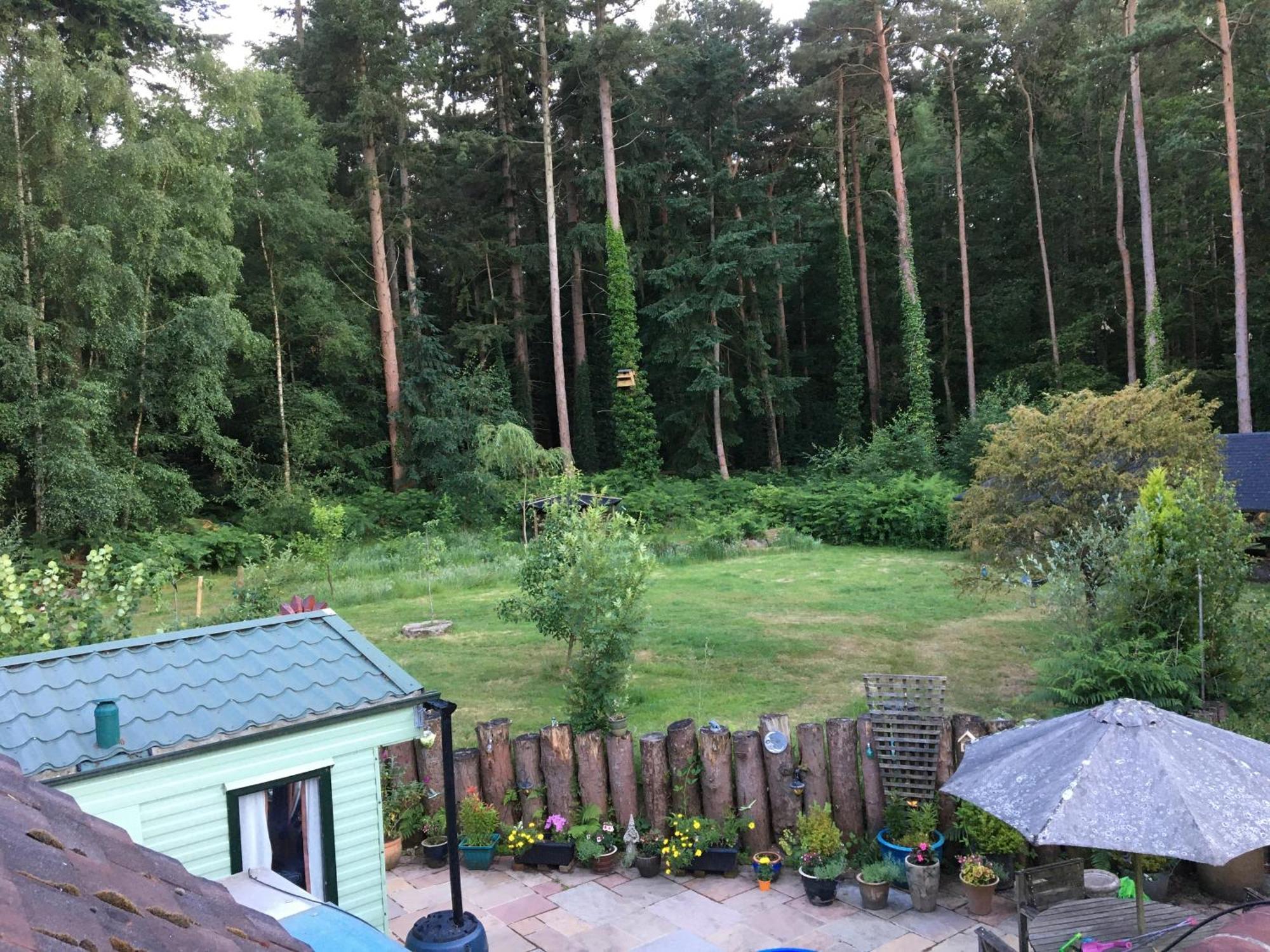 Secluded Woodland Hideaway - 2 Bed With Private Parking Emsworth